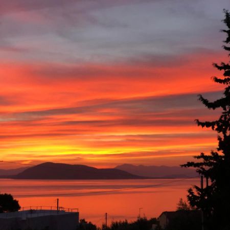 Aegina Cozy Sunset House 빌라 외부 사진