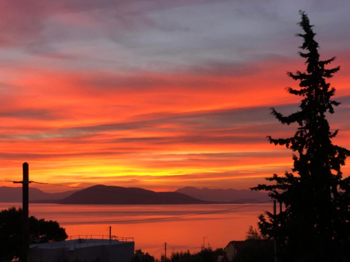 Aegina Cozy Sunset House 빌라 외부 사진